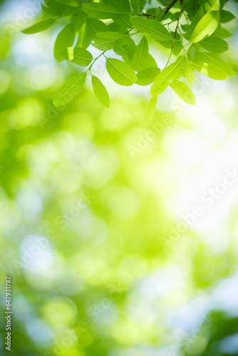 Nature of green leaf in garden at summer. Natural green leaves plants using as spring background cover page greenery environment ecology lime green wallpaper © Fahkamram