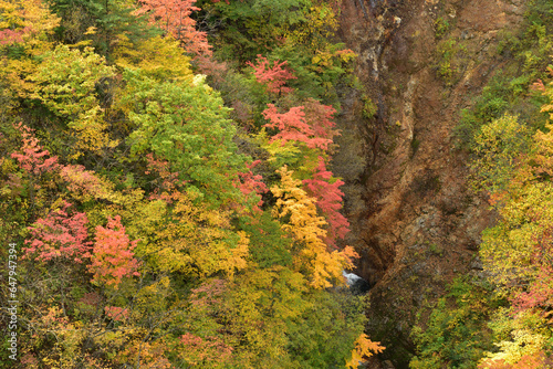 色とりどりの日本の秋の景色 山 紅葉 絶景 磐梯吾妻
