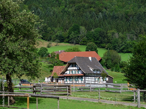 Historical Farm in the Black Forest, Gutach, Baden - Württemberg photo