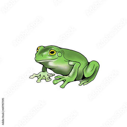 Frog left