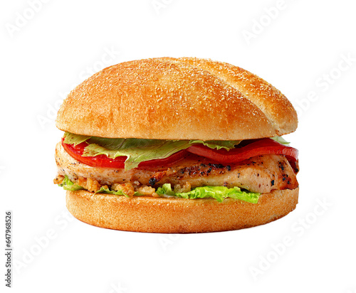 Fresh delicious burger isolated on white background