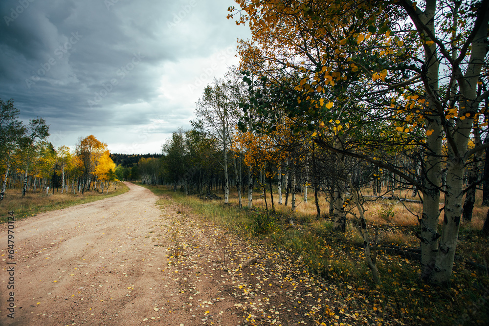 Naklejka premium Moody sky on a mountain dirt road with aspens