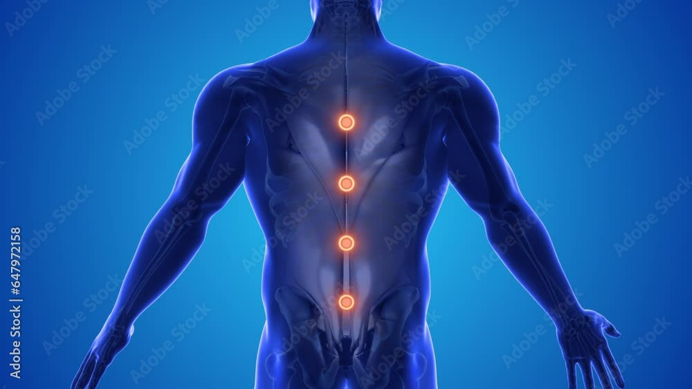 Back acupuncture point to relieve injuries Back acupuncture point to relieve injuries