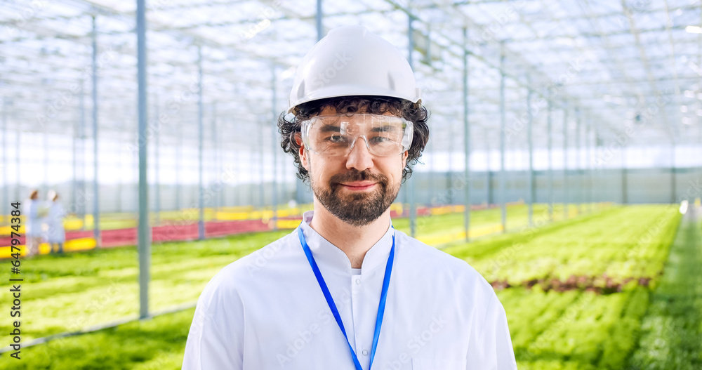 Middle aged caucasian man in white robe standing at hydroponic farm and holding cardboard box with harvested greenery. Male scientist taking vegetables to laboratory for checking quality before sale. Middle aged caucasian man in white robe standing at hydroponic farm and holding cardboard box with harvested greenery. Male scientist taking vegetables to laboratory for checking quality before sale.