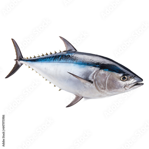 Tuna on transparent background PNG