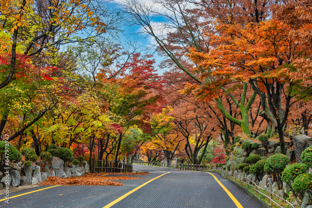 Φωτογραφία Seoul South Korea, city skyline at street to Namsan Mountain in autumn