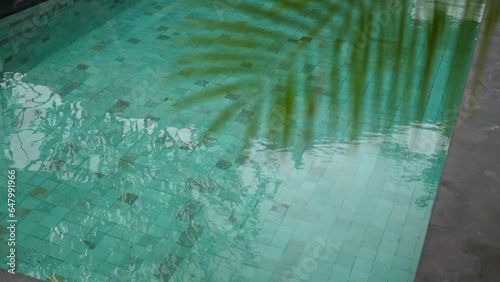 Sunny holiday villa, view at the swimming pool and green leaf, atmosphere shoot. High quality 4k footage