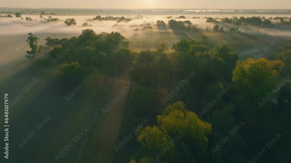 Morning fog smoke river nature park nature sky travel outdoor