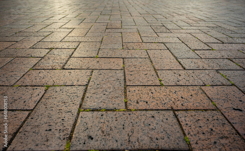 Paver brick floor, brick paving, paving stone or block paving. Manufactured from concrete or stone for road, path, driveway and patio. Empty floor in perspective view selective focus.