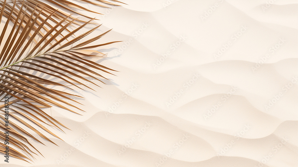 Shadows of palm leaves on the sand on sand, top view, copy space