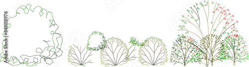 Vector sketch illustration clipart of trees and plants for completeness of images and designs