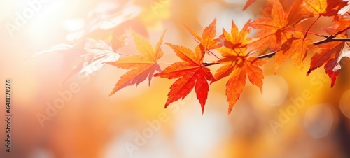 maple tree leaves fall autumn season, ai