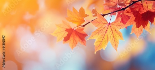 maple tree leaves fall autumn season  ai