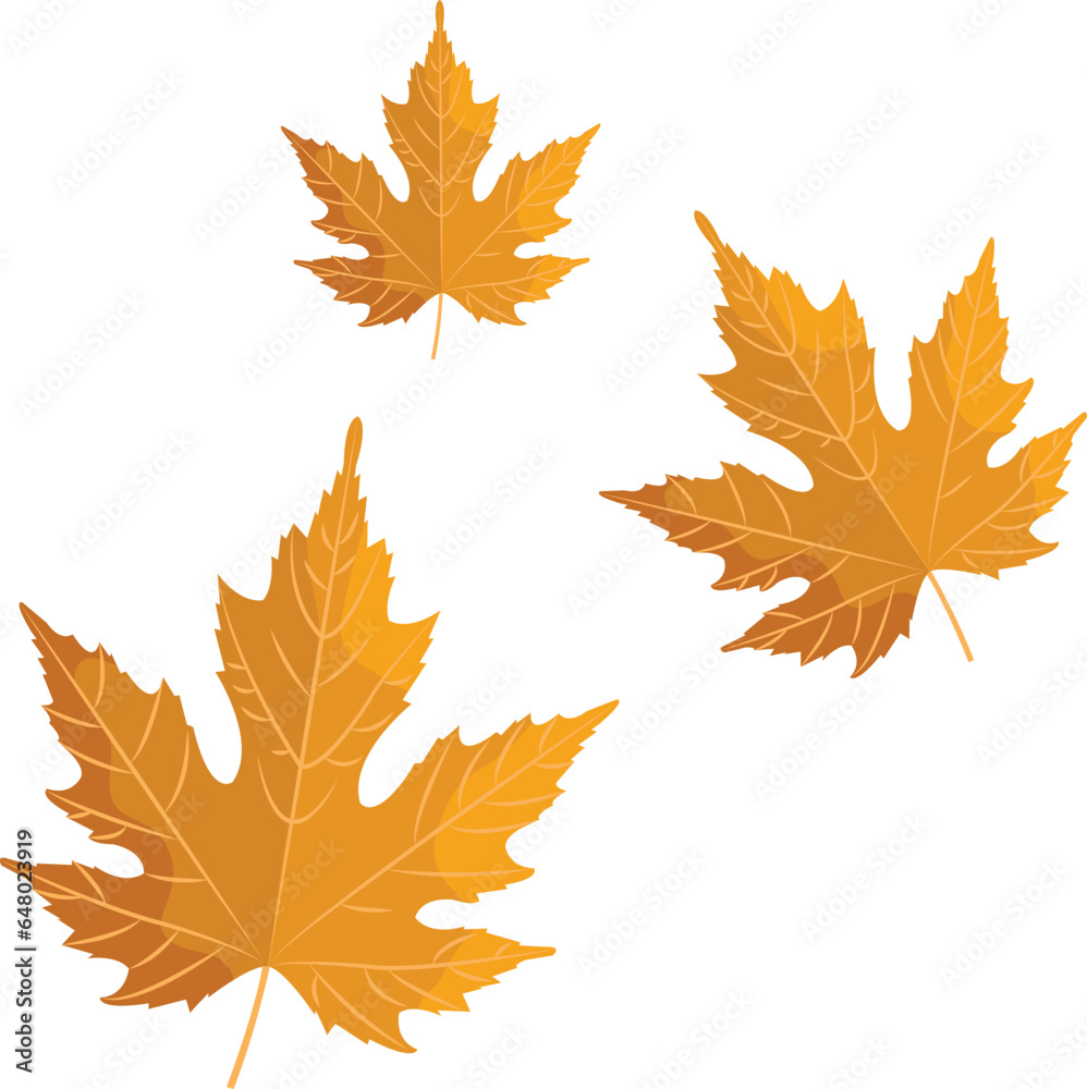 Obraz premium autumn leaves vector image or clipart