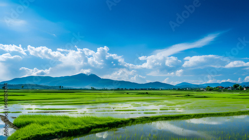 arafed view of a rice field with mountains in the background Generative AI