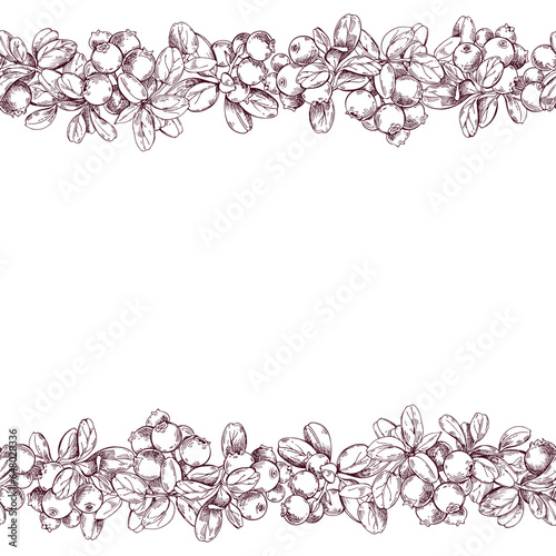 Cowberry. Floral frame. Vector sketch illustration. Horizontal composition with space for text. Excellent for packaging, menu, label, poster, card, print. © maritime_m