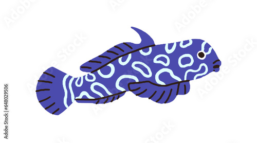 Cute mandarin fish. Exotic tropical sea marine animal, mandarinfish. Small sp...
