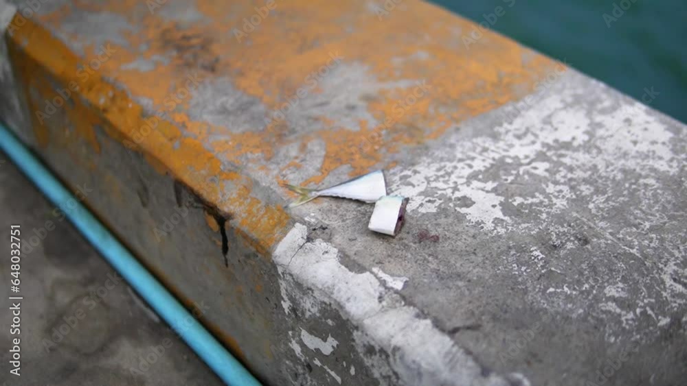 Chopped Fish Bait On The Hua Hin Fishing Pier In Prachuap Khiri Khan, Thailand. Chopped Fish Bait On The Hua Hin Fishing Pier In Prachuap Khiri Khan, Thailand.