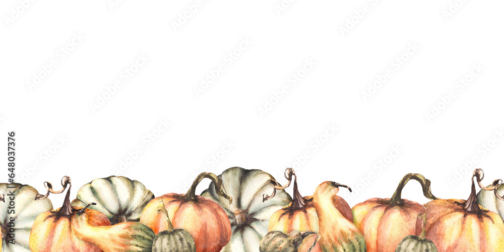 Vegetable seamless pumpkins colorful border, pattern. Isolated white background. Watercolor autumn . Hand drawing fall repeating design for thanksgiving cards, halloween wrapping, prints - obrazy, fototapety, plakaty 