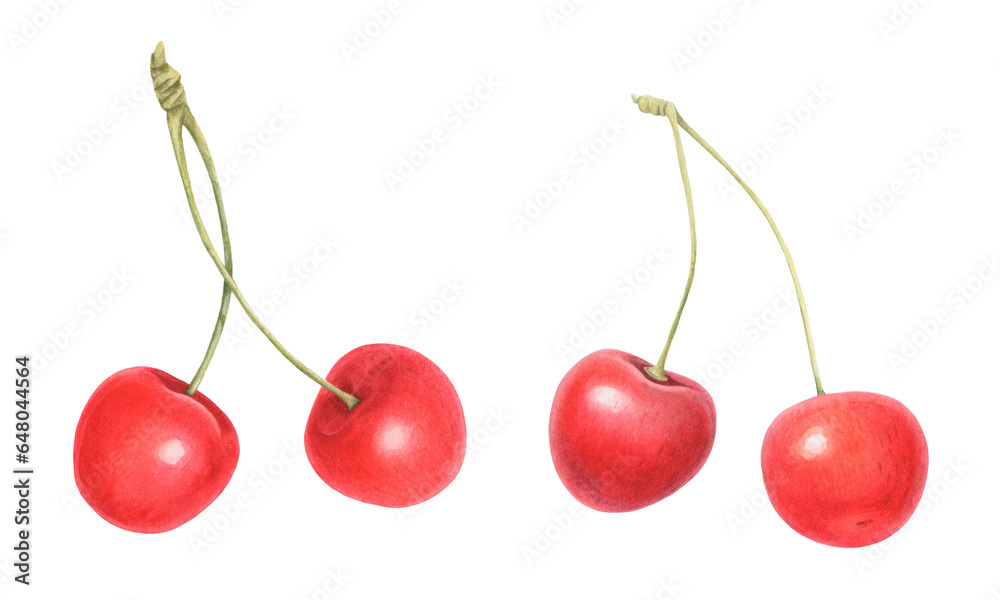 Watercolor illustration of two pairs of Cherries isolated on white background Watercolor illustration of two pairs of Cherries isolated on white background