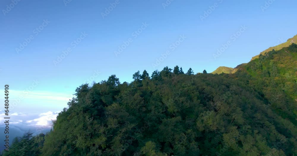 Nepal's FPV drone shot of green landscape, trees, ridges, Morning sunrays Nature. Forest close past blue sky, adventure tourism place 4K peace calm video Nepal's FPV drone shot of green landscape, trees, ridges, Morning sunrays Nature. Forest close past blue sky, adventure tourism place 4K peace calm video