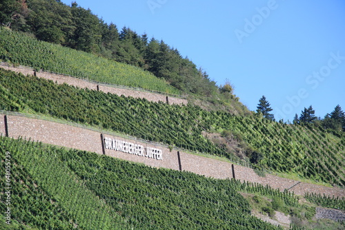 Vineyards in the Mosel Valley close to Brauneberg photo