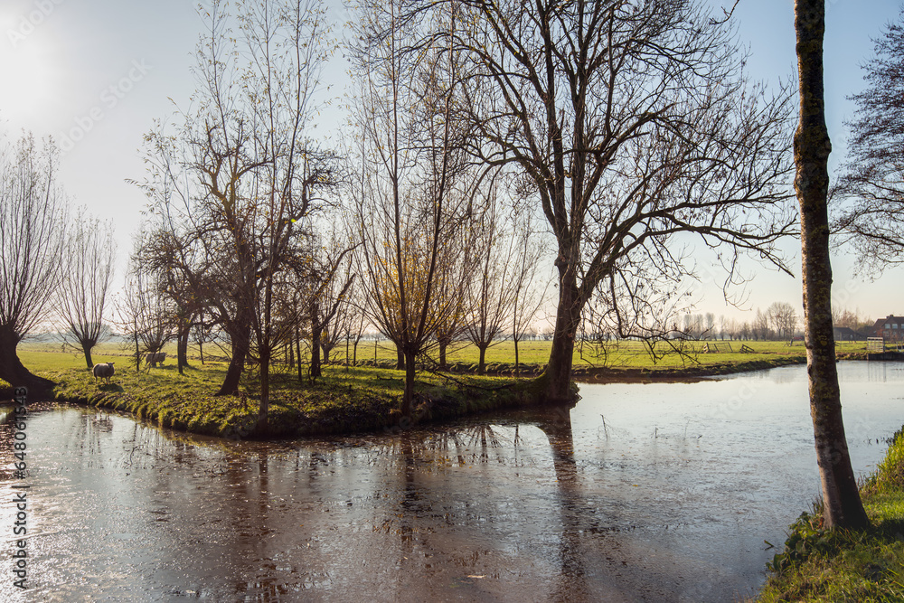 Backlit shot of trees at the edge of an ice-covered ditch during dawn at the end of the autumn season. The photo was taken in the Alblasserwaard region in the province of South Holland. Backlit shot of trees at the edge of an ice-covered ditch during dawn at the end of the autumn season. The photo was taken in the Alblasserwaard region in the province of South Holland.