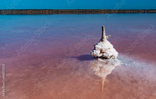 Salt Lake. Self-settling salt on wooden logs. Hypersaline water in a drying lake photo