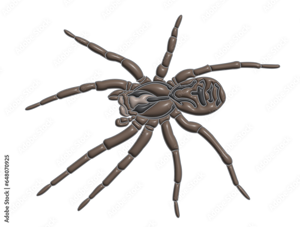 spider 3D isolated on a white background spider 3D isolated on a white background