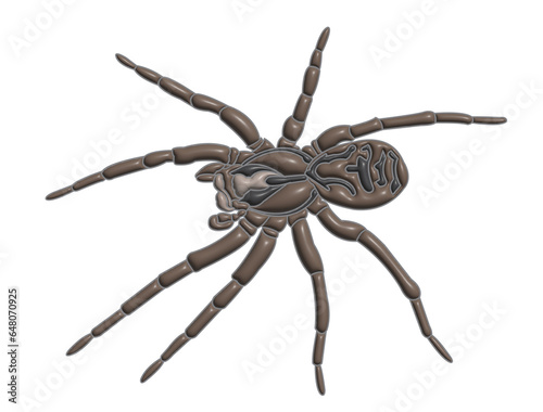 spider 3D isolated on a white background