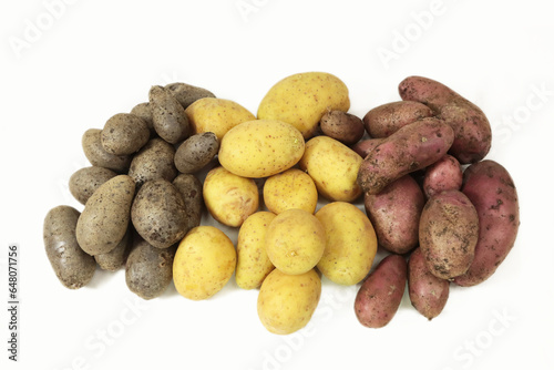 Kartoffel Vielfalt - lila gelb rot