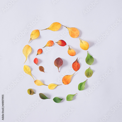 Top view of nature composition of colorful autumn or fall leaves in a circle. Season change concept.
