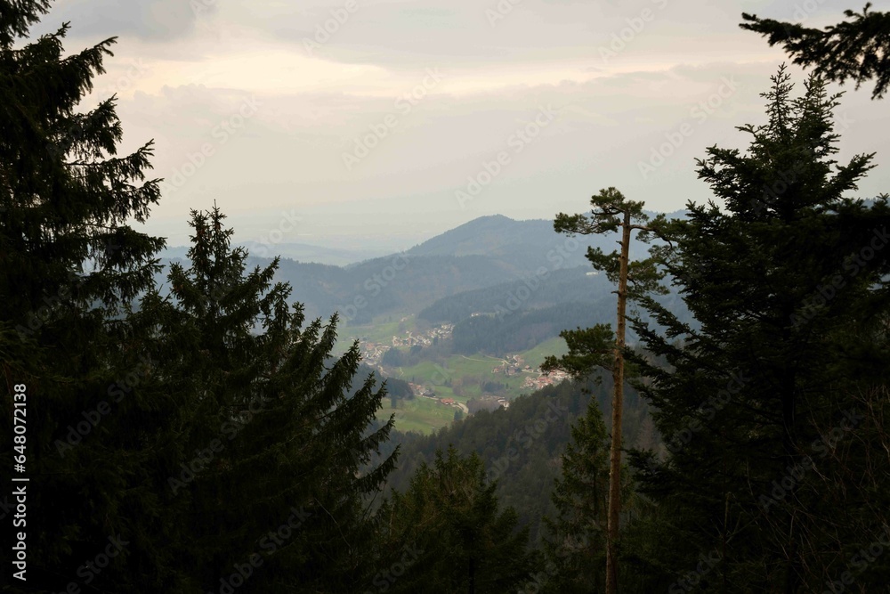 Nationalpark Schwarzwald, Black Forest National Park