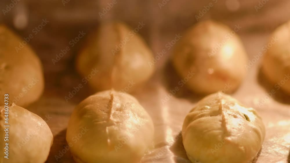 Patties are baked on a tray in a home oven, time lapse Patties are baked on a tray in a home oven, time lapse