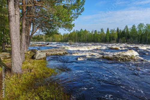 Flooded Dal-River at spring time in Sweden