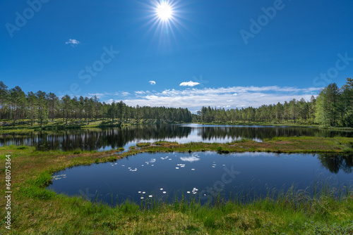 View across a small forest lake in Sweden