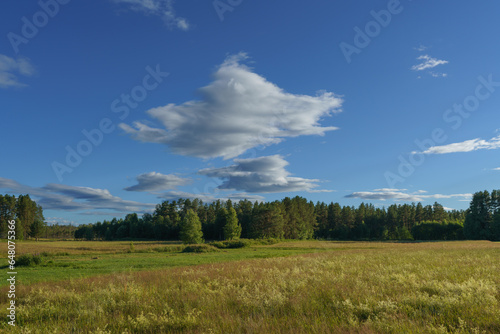 View across a field in the Swedish countryside
