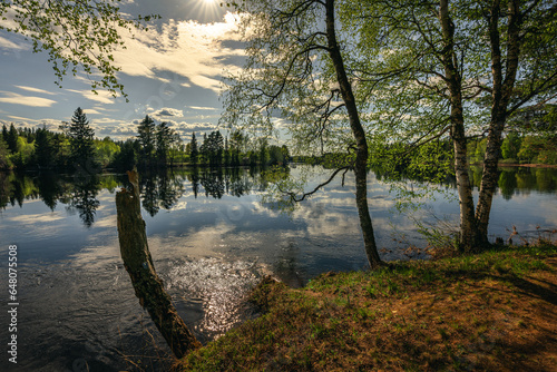 Beautiful spring view from a riverbank in Sweden