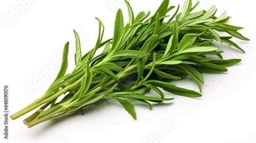 a flourishing tarragon plant, with narrow, aromatic leaves that impart a hint of anise-like flavor to a variety of dishes