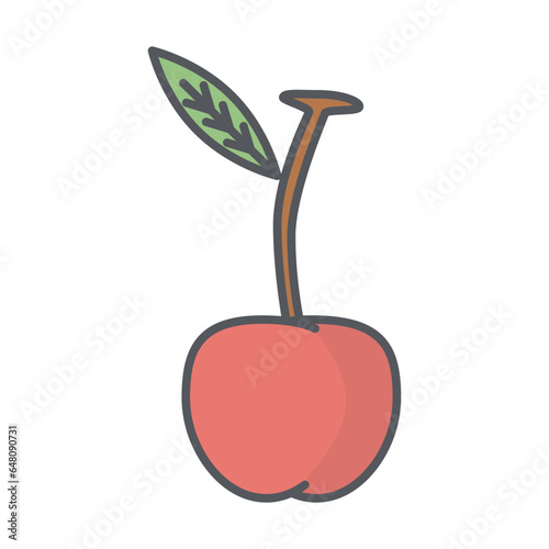 Cherry Fresh Fruit Healthy Ingredients