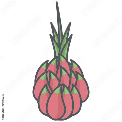 Dragon fruit Fresh Fruit Healthy Ingredients