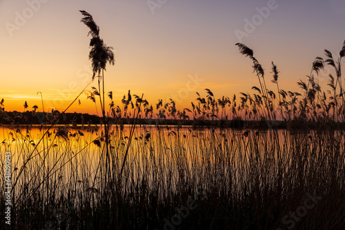beautiful orange-yellow sunset on a lake with tall grass