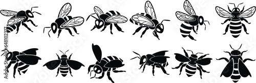 Set of bee silhouettes, isolated on white background