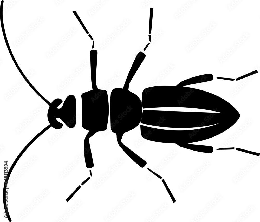 Earwig Insect Icon Earwig Insect Icon