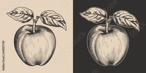Set of vintage retro woodcut linocut engraving gravure sketch apple. Can be used like emblem, logo. mark, poster or print. Monochrome Graphic Art. Vector. Hand drawn element in antique