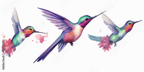 watercolor Hummingbird clipart for graphic resources