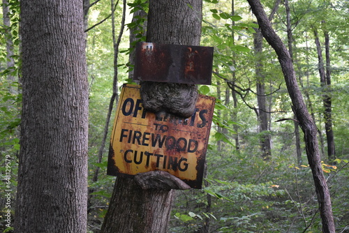 Tree Growing around Old Metal Sign, Tioga Falls Trail, Kentucky