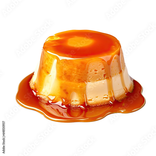 tasty home made egg flan with caramel photo