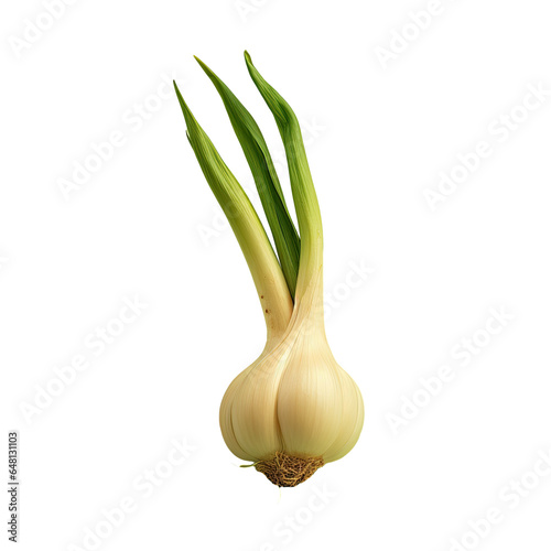 Sudden sharp hot garlic