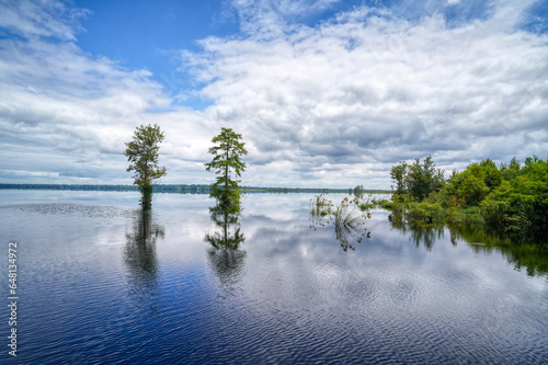 Great Dismal Swap in VA - Lake Drummond reflection